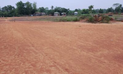 98e2b71c-16b9-471b-985b-b7022feefb72