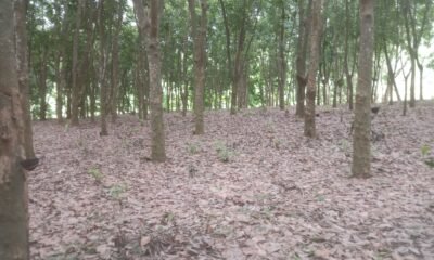 058ade96-0863-4672-af81-18ae2954a589