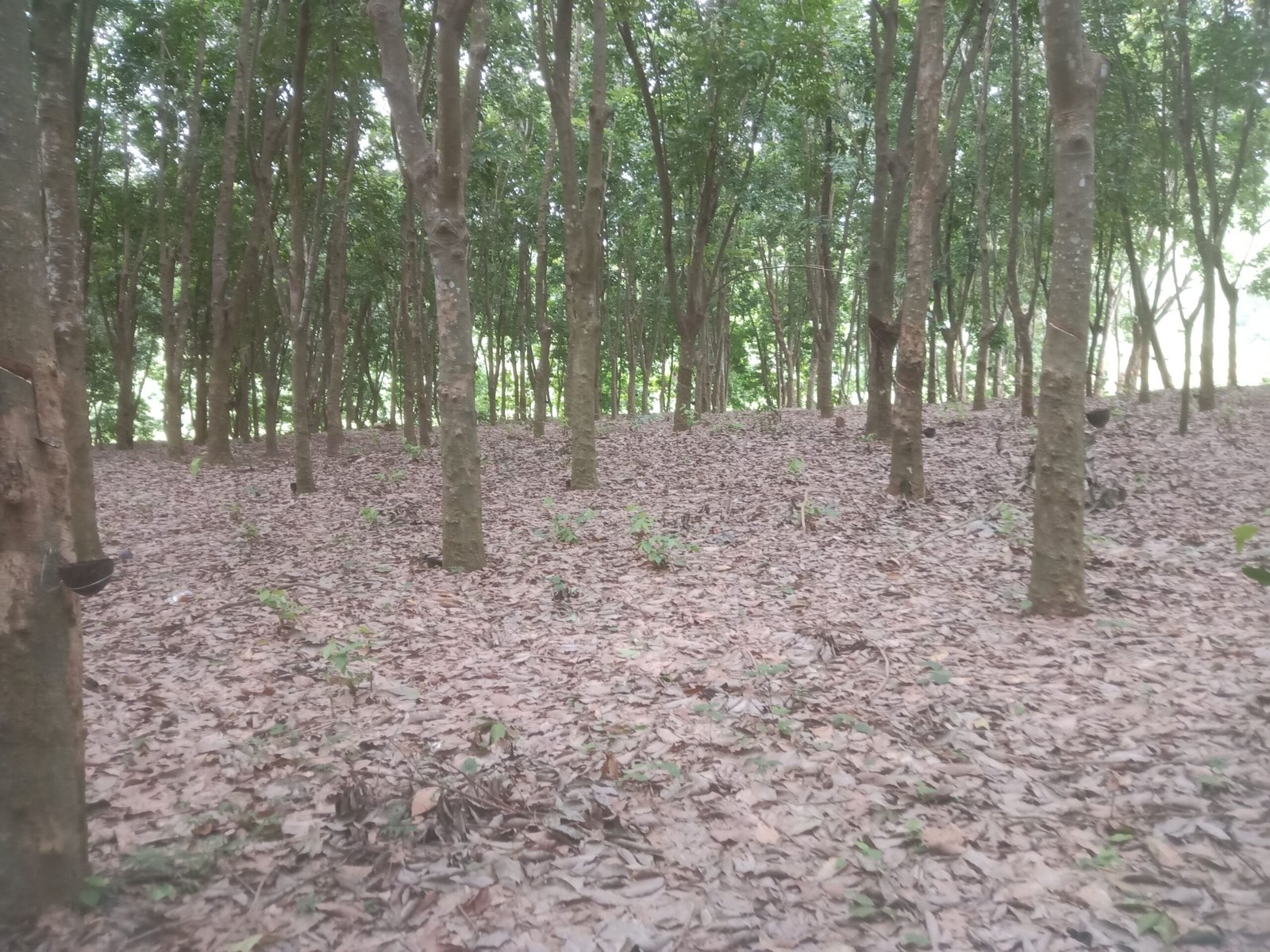 058ade96-0863-4672-af81-18ae2954a589