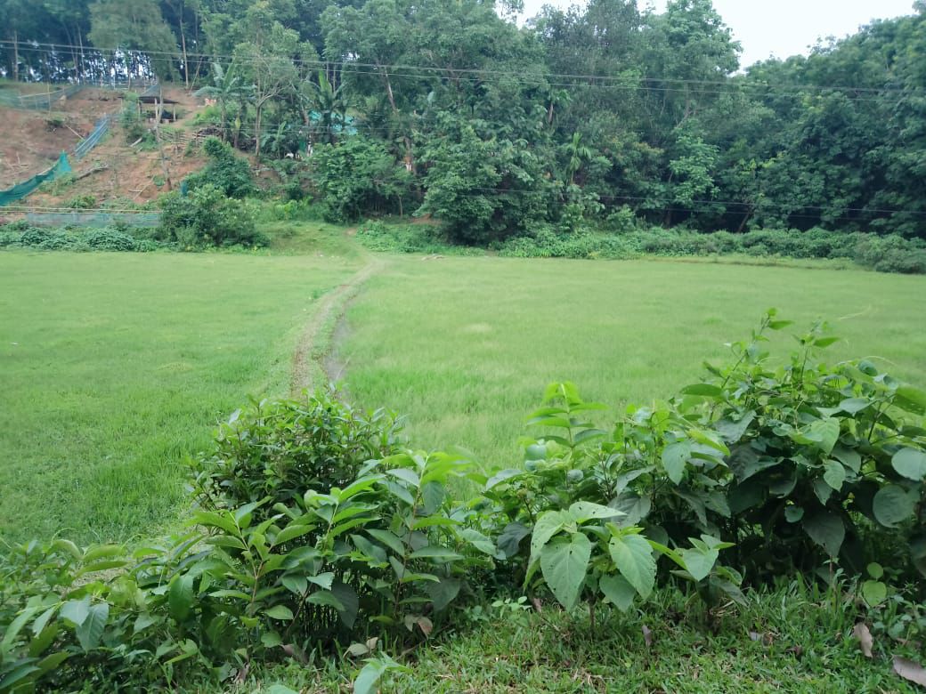 08cee0dc-966b-4eb0-a80a-b8d23896a077