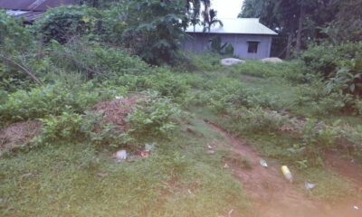 11b2829e-0493-45bf-93e2-ee87cf35cc61