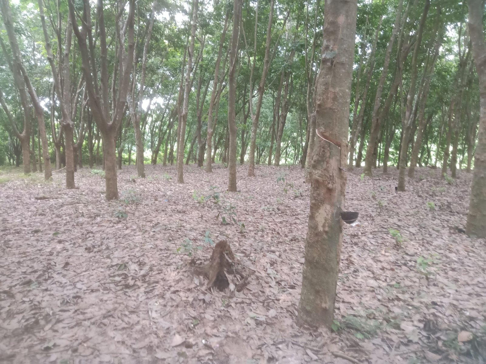 30a22236-5b6b-4d49-8ae4-907aae86a00d