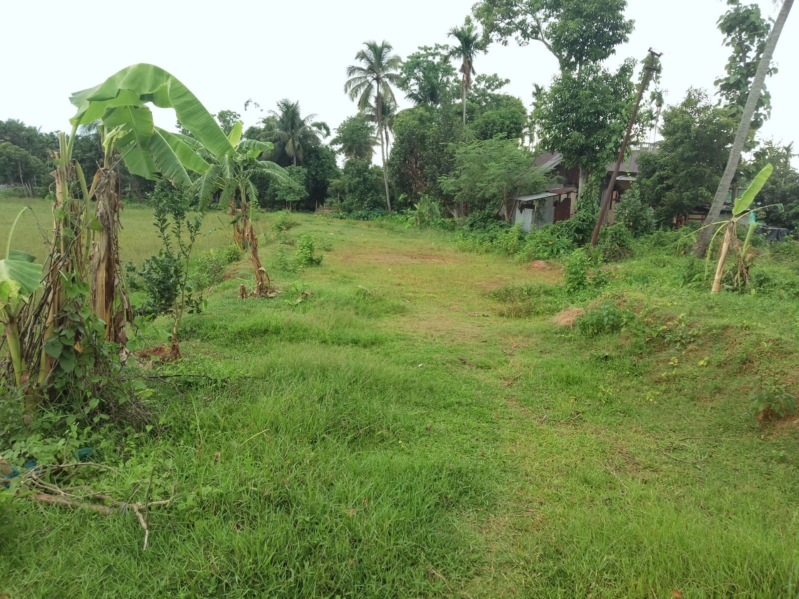 39fbc895-dbdd-41c8-89b0-7666b9e1618a