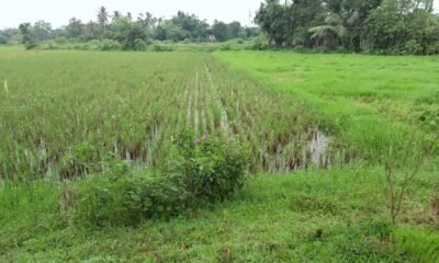 452884e9-1818-4606-acb0-6a055f0f49a5