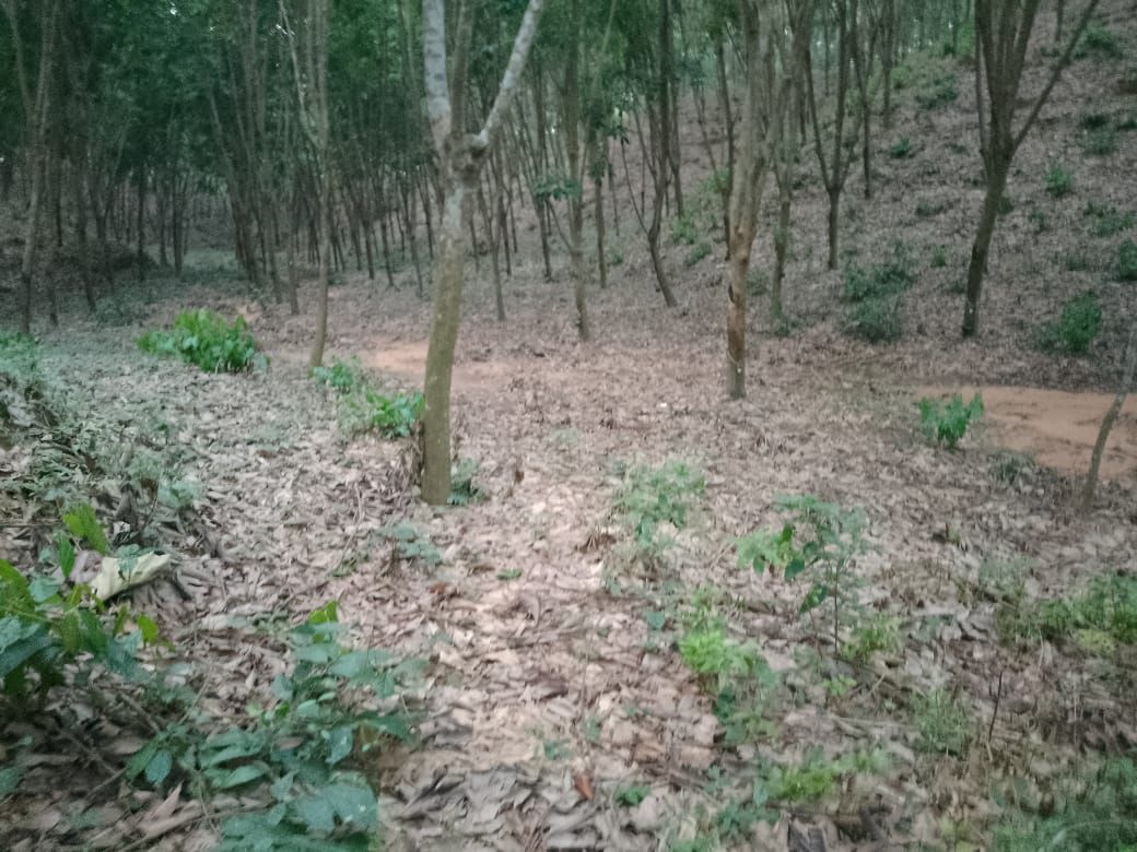 4bf02387-4d1b-470c-9212-0128b8256556