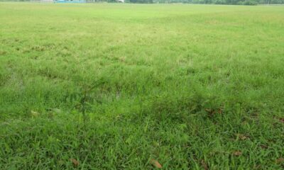 79e936b5-042e-49f9-b015-784316932f51