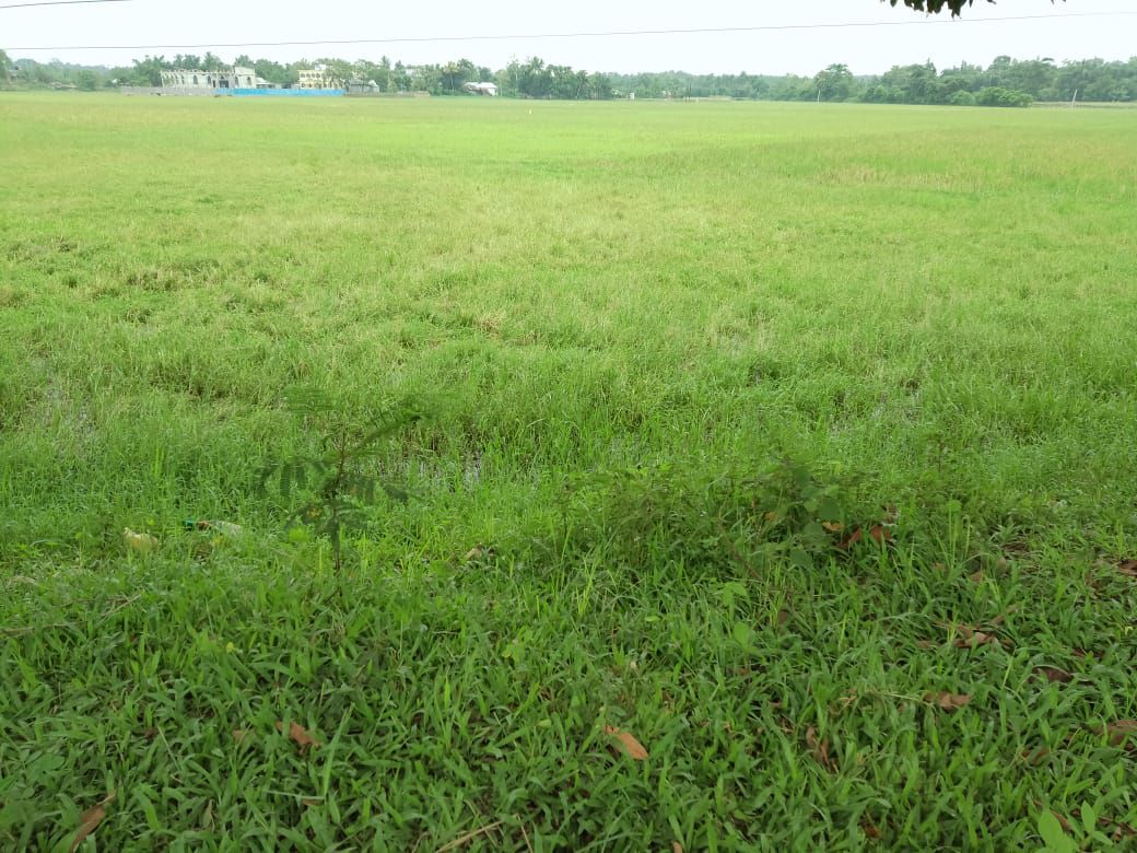 79e936b5-042e-49f9-b015-784316932f51