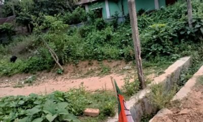 8036e1d4-af3b-43ce-9726-e35e6d07e6c5