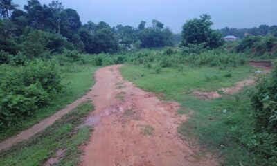 885401a4-9da6-4344-a5a5-906c28c9398c