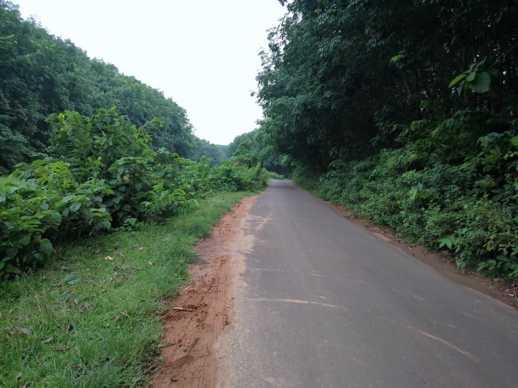 8bd1912c-55f7-4854-8378-b6ee94035c3d