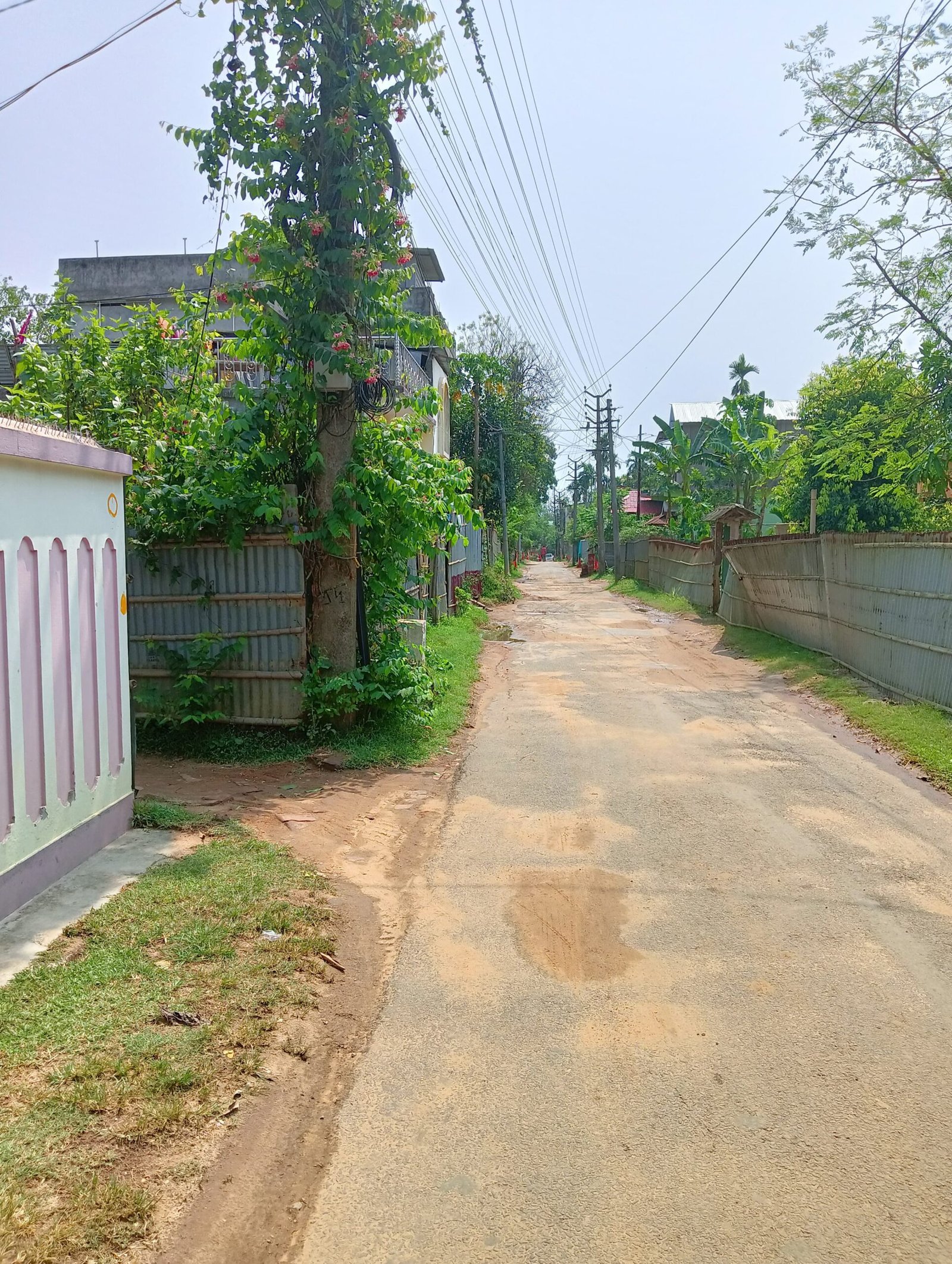 9f431d09-55d0-40b4-8696-45c28161936d