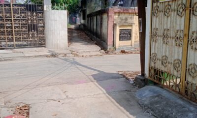 a2495a13-fcff-4151-801e-5a2dca565a0a