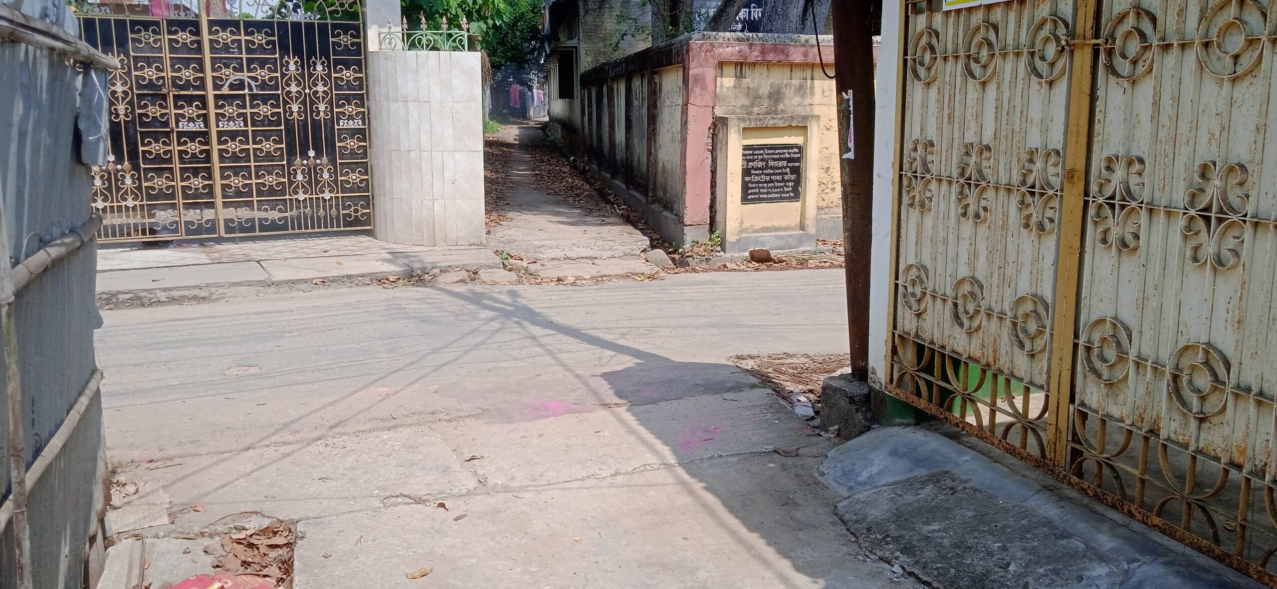 a2495a13-fcff-4151-801e-5a2dca565a0a