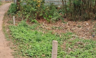 a6764814-7bef-4c8a-9c92-8e022ee52552