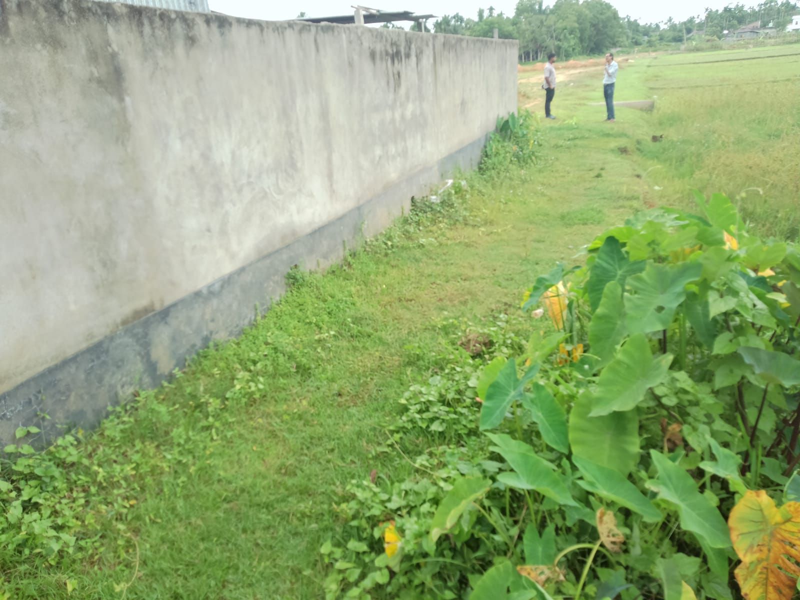 a9219a1c-e53b-4097-bdaf-0a38bb9e0ac0