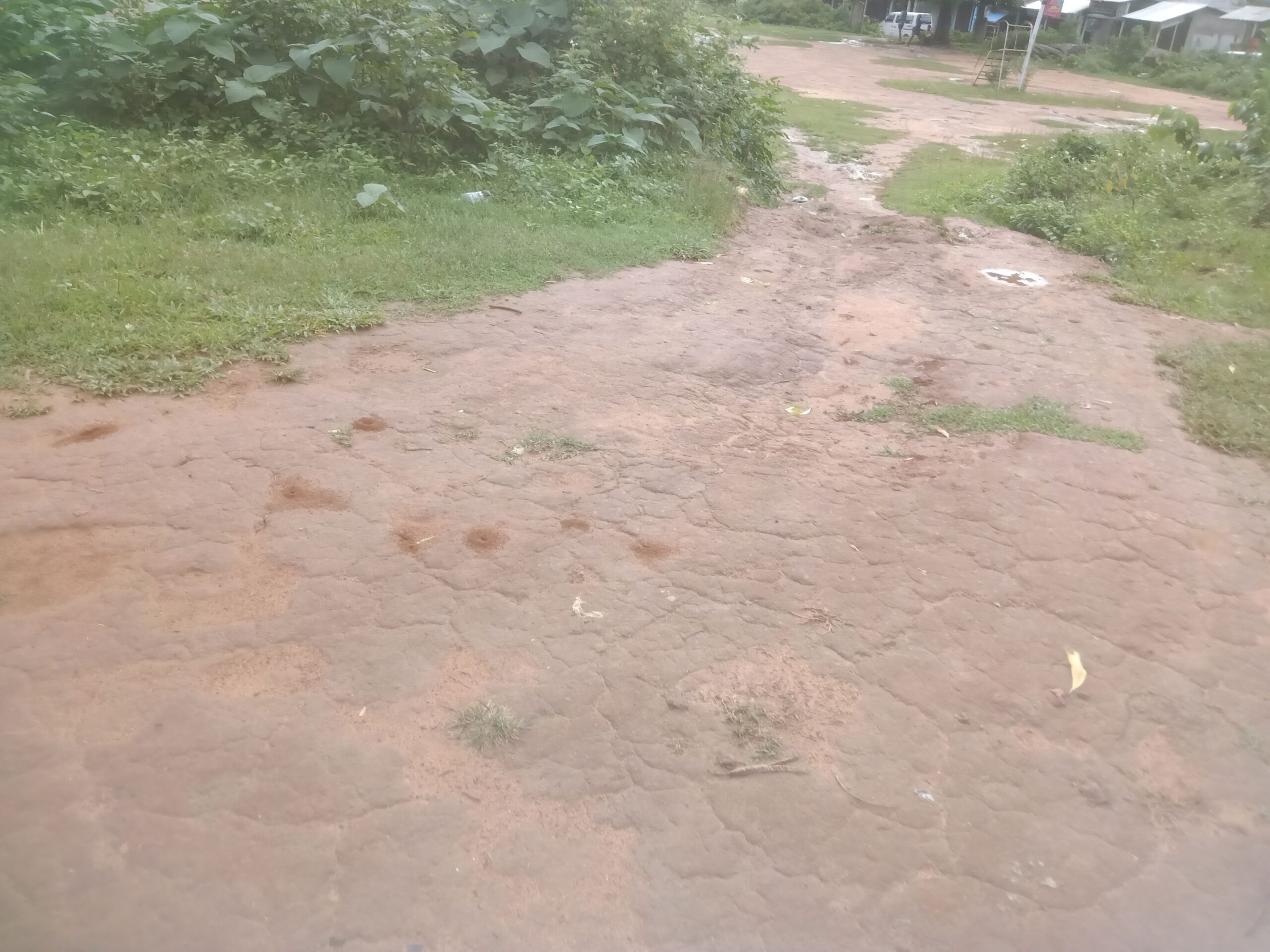 c8186a99-84d9-49c2-a9dc-e38d85388a2e