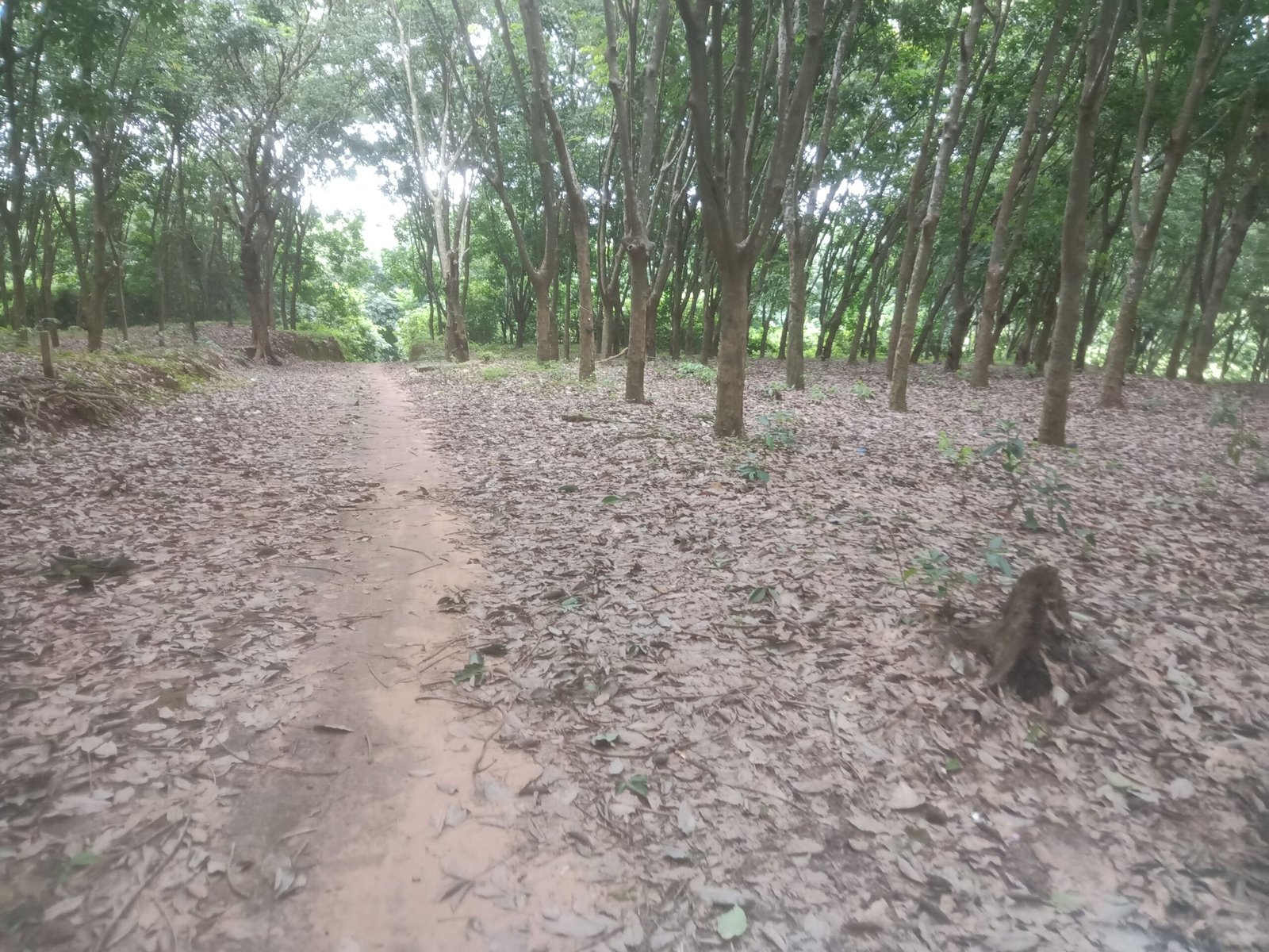 da3866ac-1dda-4656-b083-d3f1d6dbedad