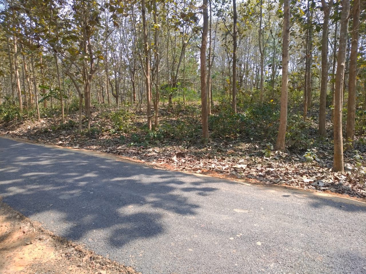 de19c646-6f4a-4280-bba1-75f6ebf7d607