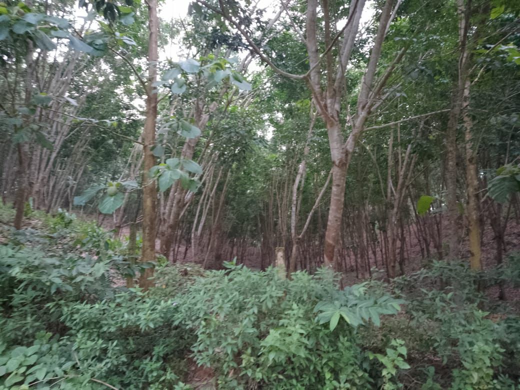 e45e8655-059a-4b3c-9477-54f55e76bad5