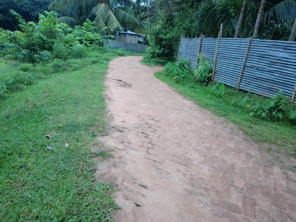 82f38c33-85ac-4ad7-8436-3c826cffb43d