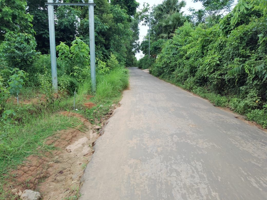 ce963473-fb98-41c4-a08b-6c323edee2e9