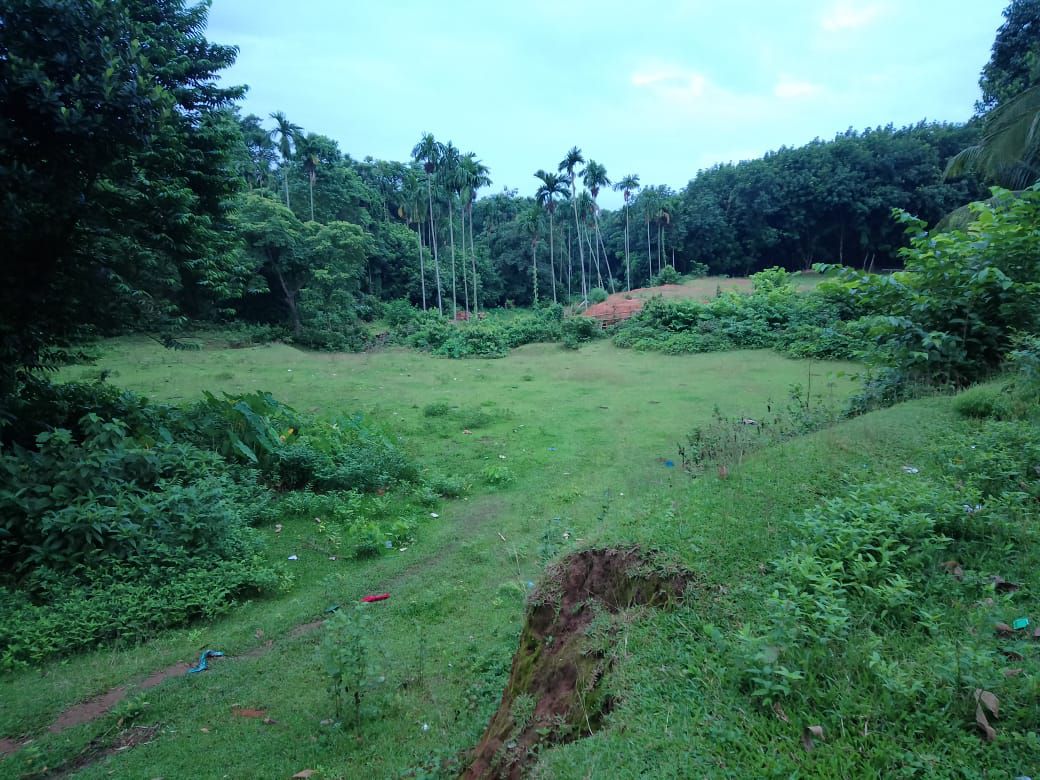 d0343daa-0a87-4201-a2e7-befedbe619a4