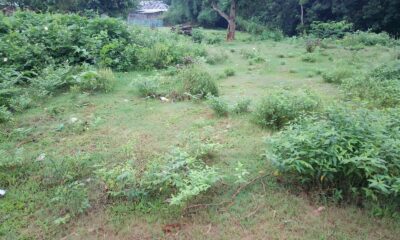 ea9ea608-a17a-4790-9715-835b7516c549