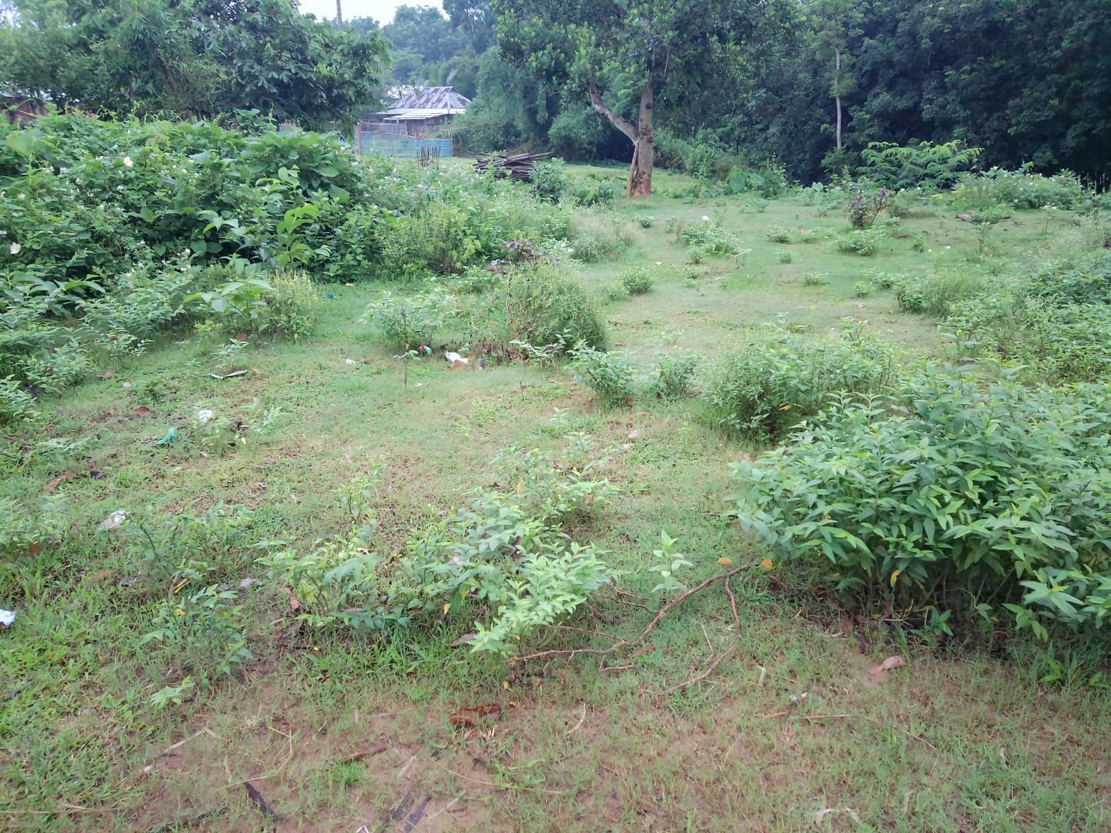 ea9ea608-a17a-4790-9715-835b7516c549