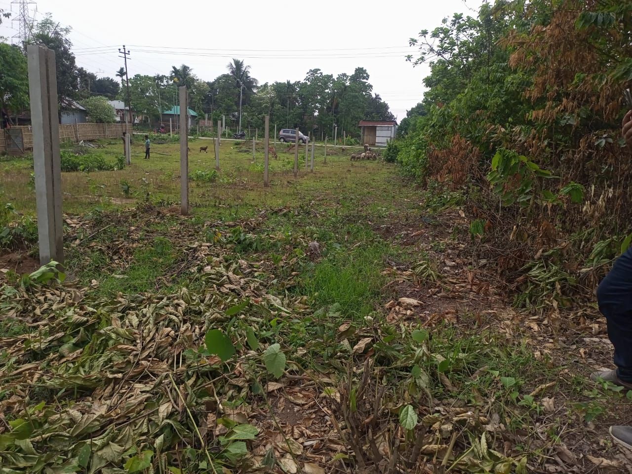 6b79dd52-2ff1-4b06-b99d-a671cd92371b