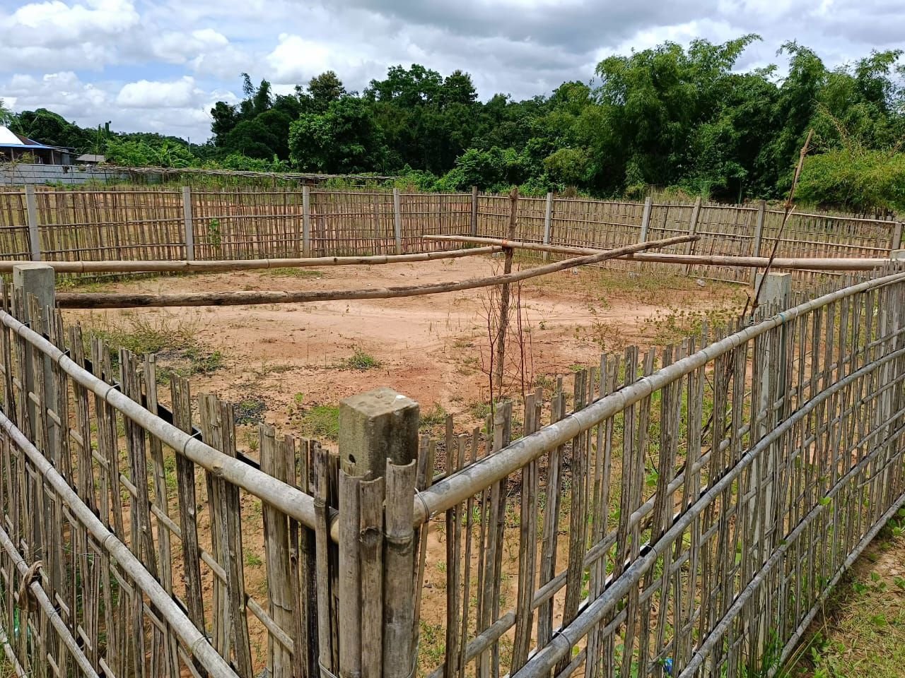 7ce22b95-6f2a-4179-8ef4-4ceca5184678