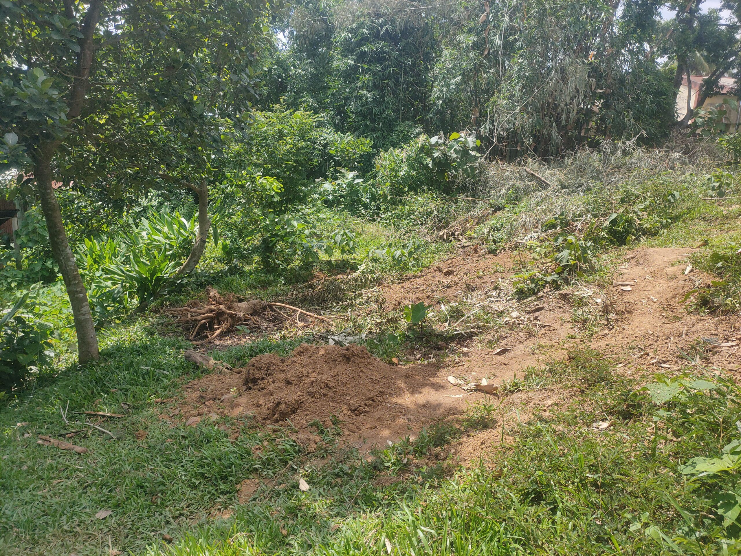 a217e477-73c4-455a-9920-aa3c8d50d259