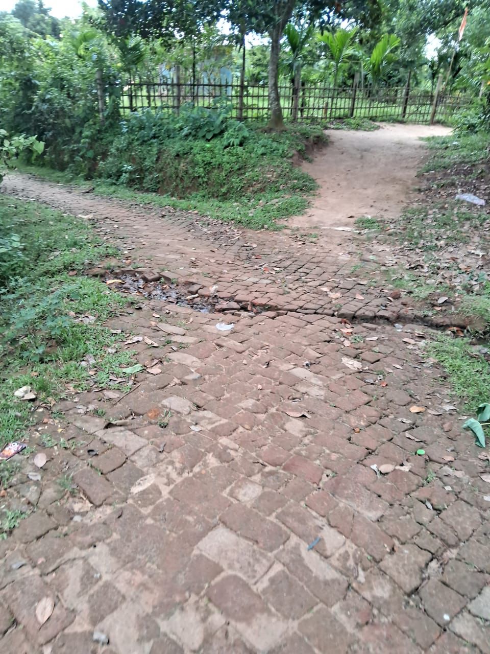 26d31321-b809-43fa-8561-1941170d49e3