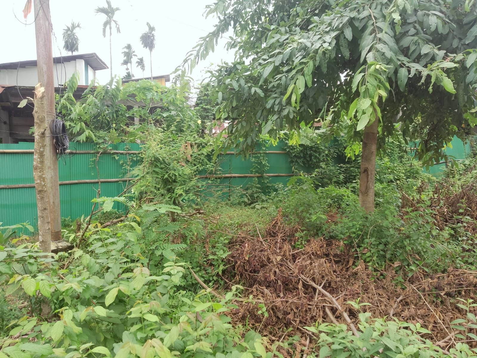 3615ccdf-b7e9-4aa0-bfa6-b604e6939bb8