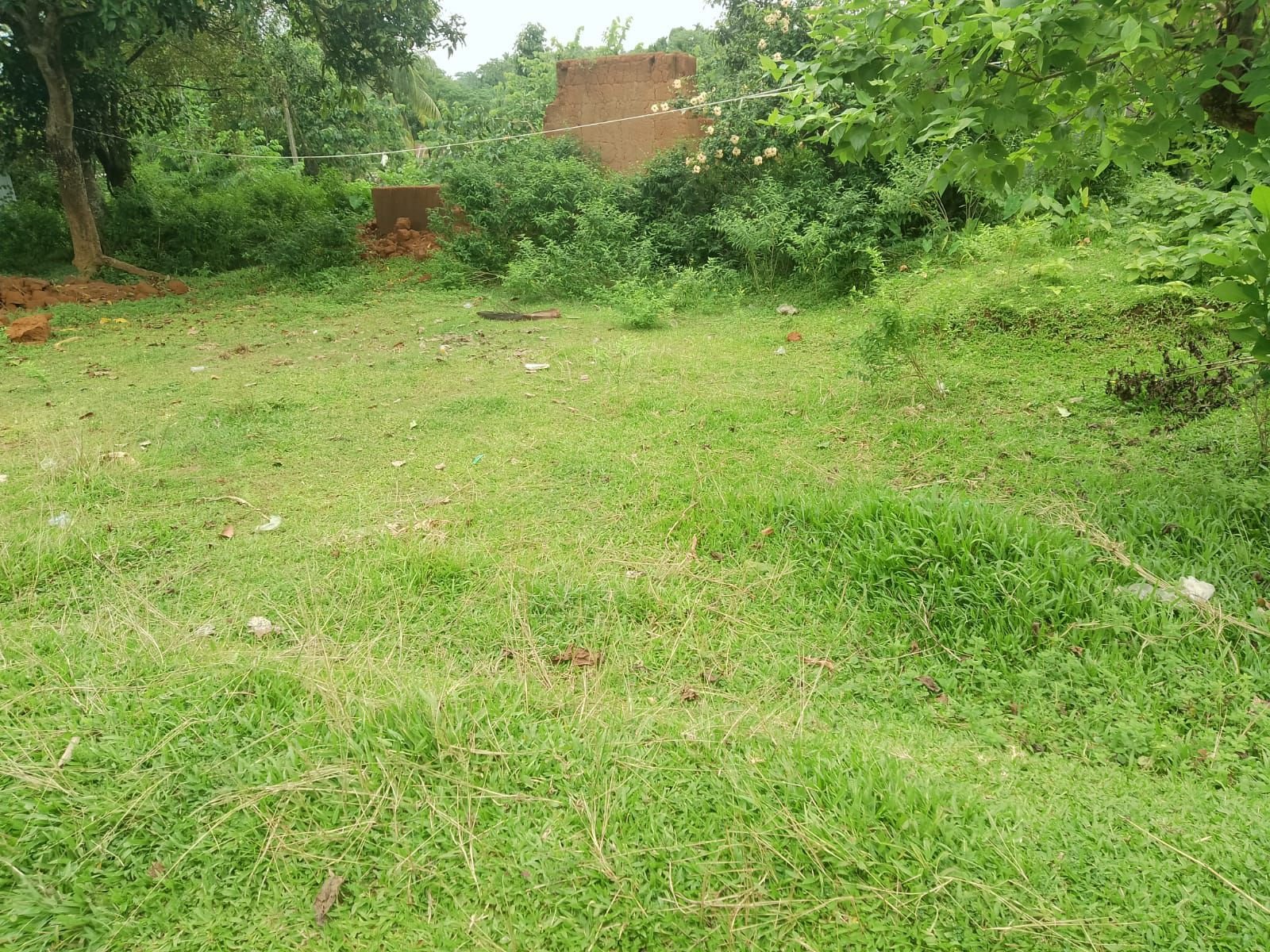 3b5ff7cf-6894-4eb8-80b0-0655f89c6428