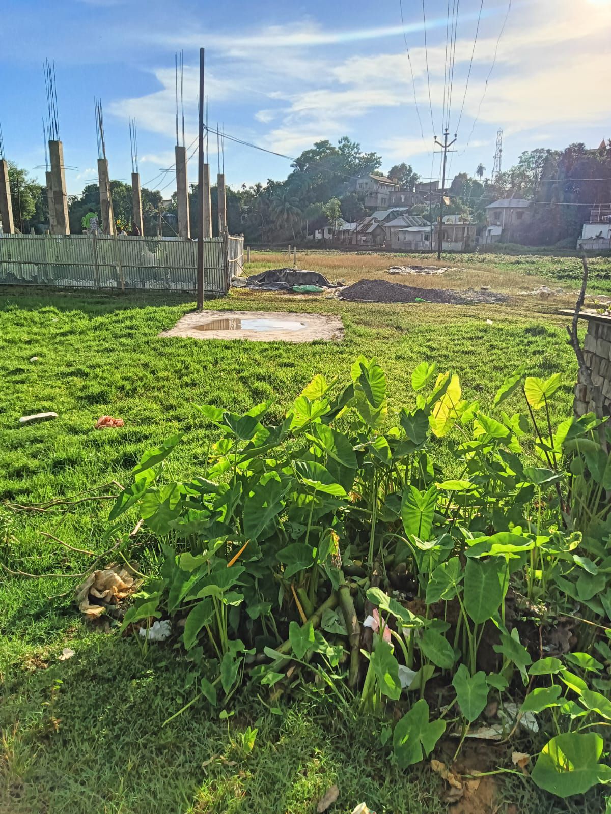 7fa06f0e-6761-454b-9d98-3be92705d004