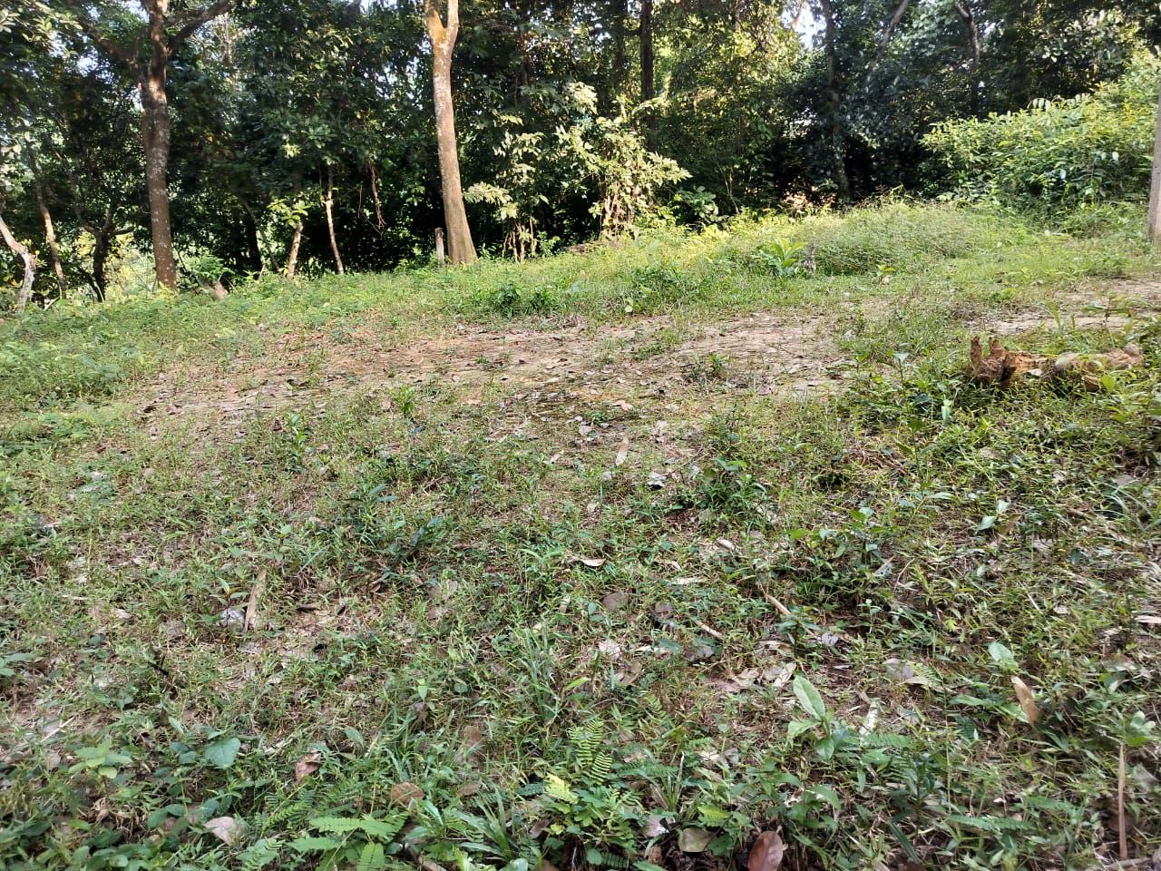 1ad76662-de25-47bb-8933-ede484546fb2