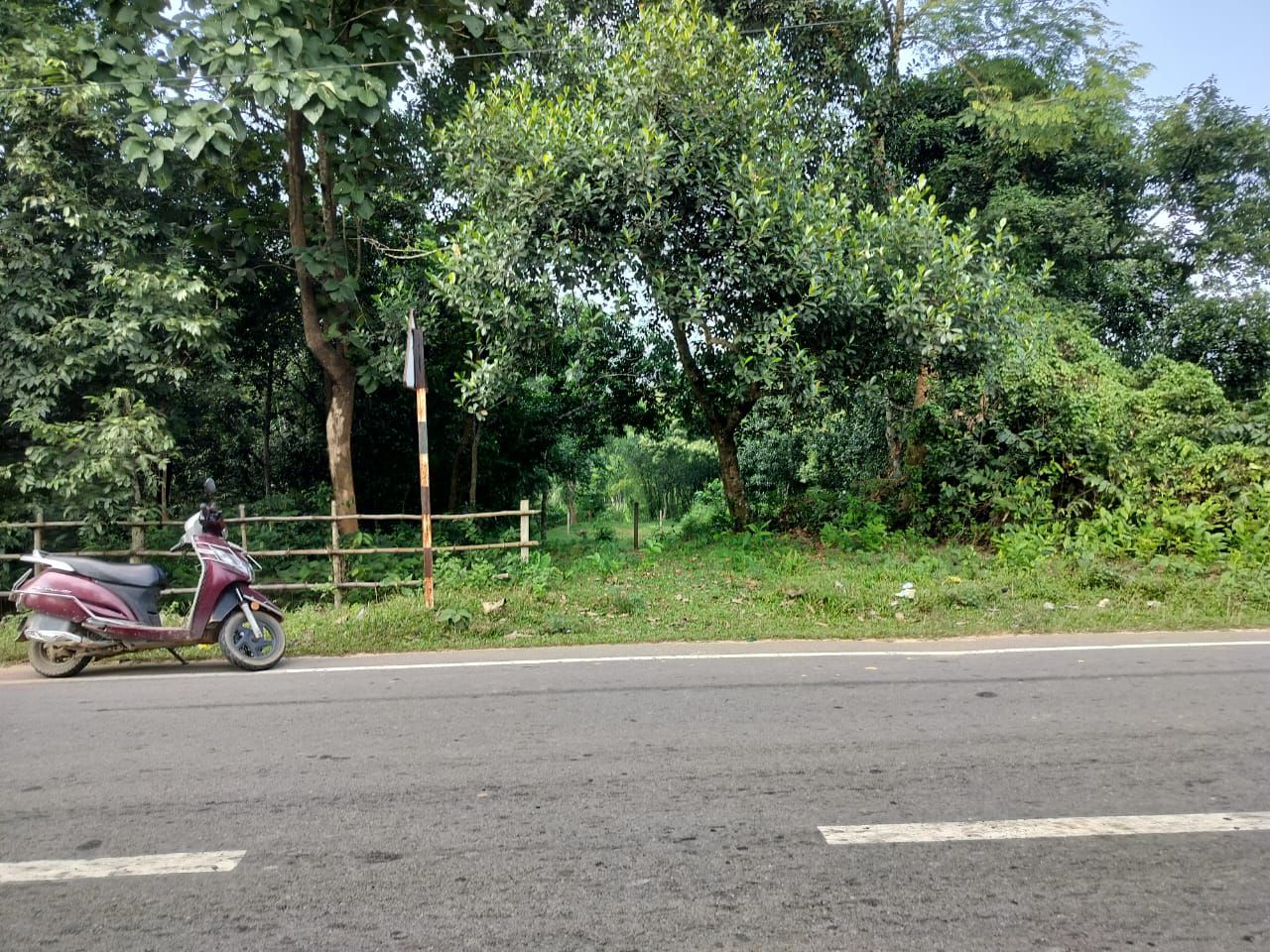 ce2cfe0d-0196-4407-b66b-8fc27c117754