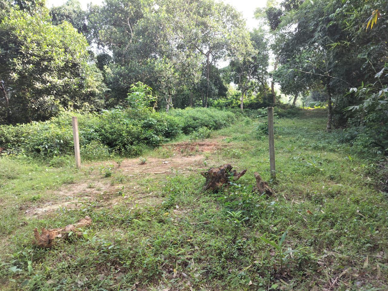 e58eb7ed-7def-4bf2-957c-ba11a5d43809