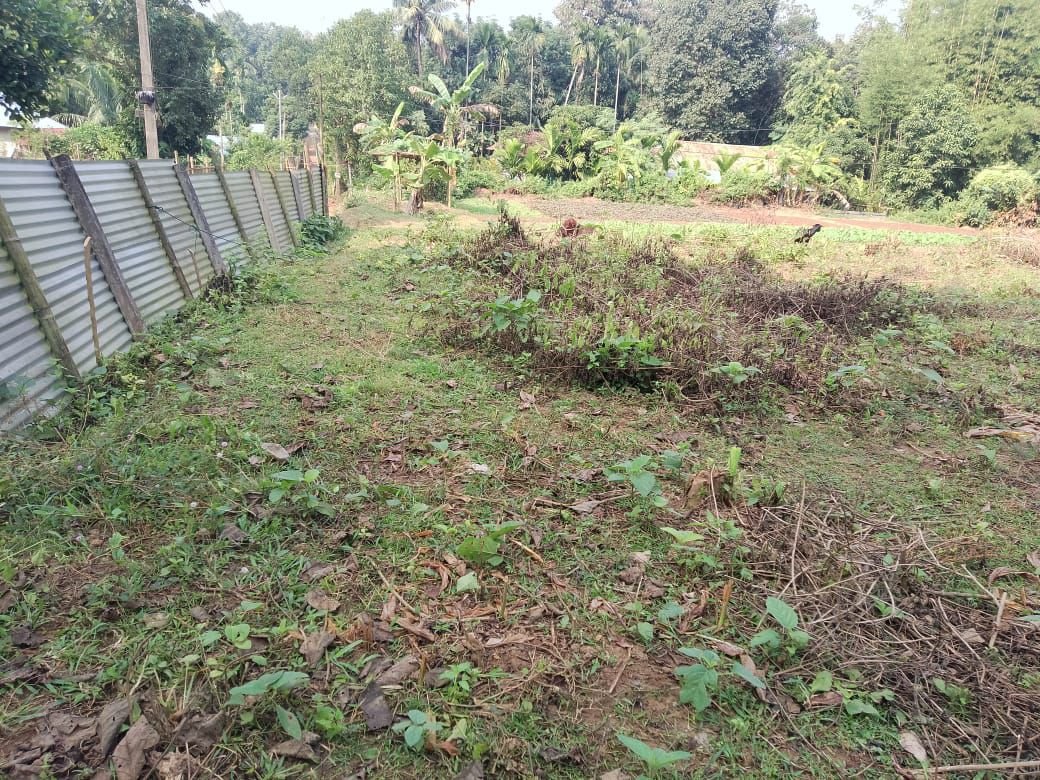 a03346c0-e749-432f-a132-4f6b140c041f