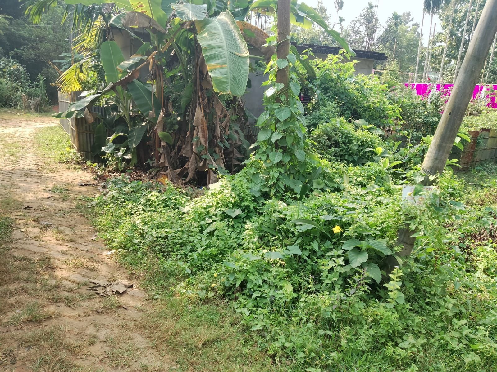 ef7278ae-0612-4d91-8a6a-8c7a4443657d