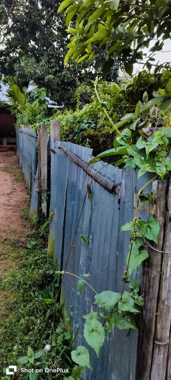 4a3686c5-4b7f-4710-8946-1af0f69cb8d3