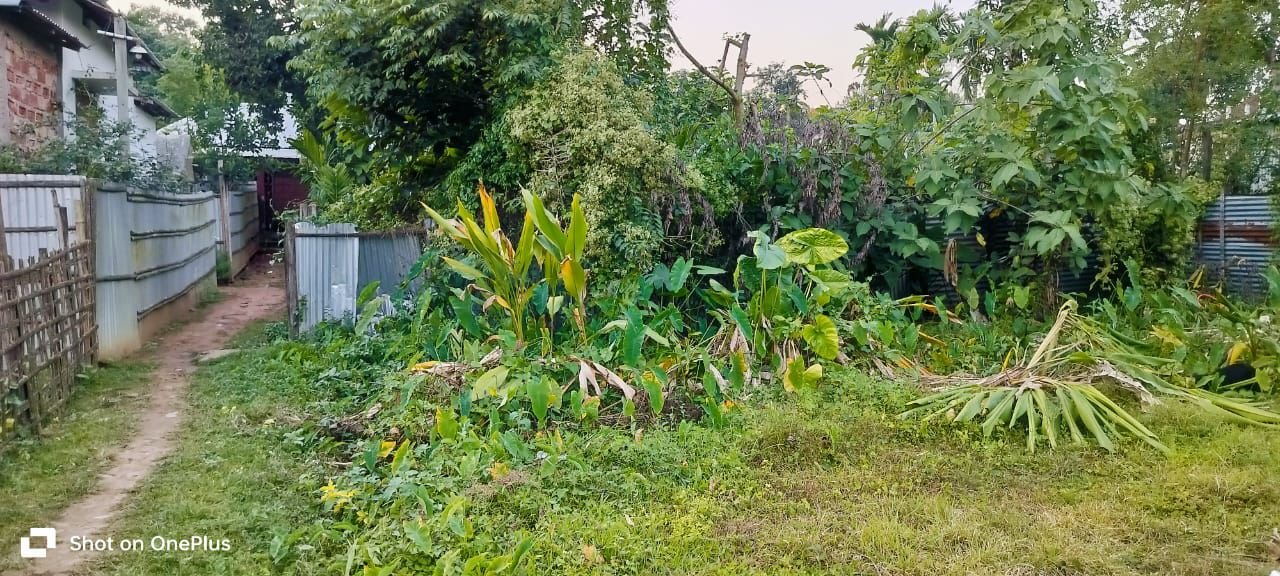 7e1981cf-89d9-4ac1-9de1-dc78c4877b88