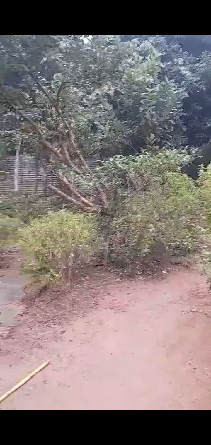 c7cc91f3-2841-4e31-8b7f-e903dc47ee31