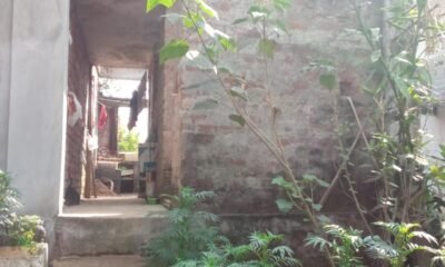 0ae5d15e-335d-4191-a590-a6e4cfcb7063