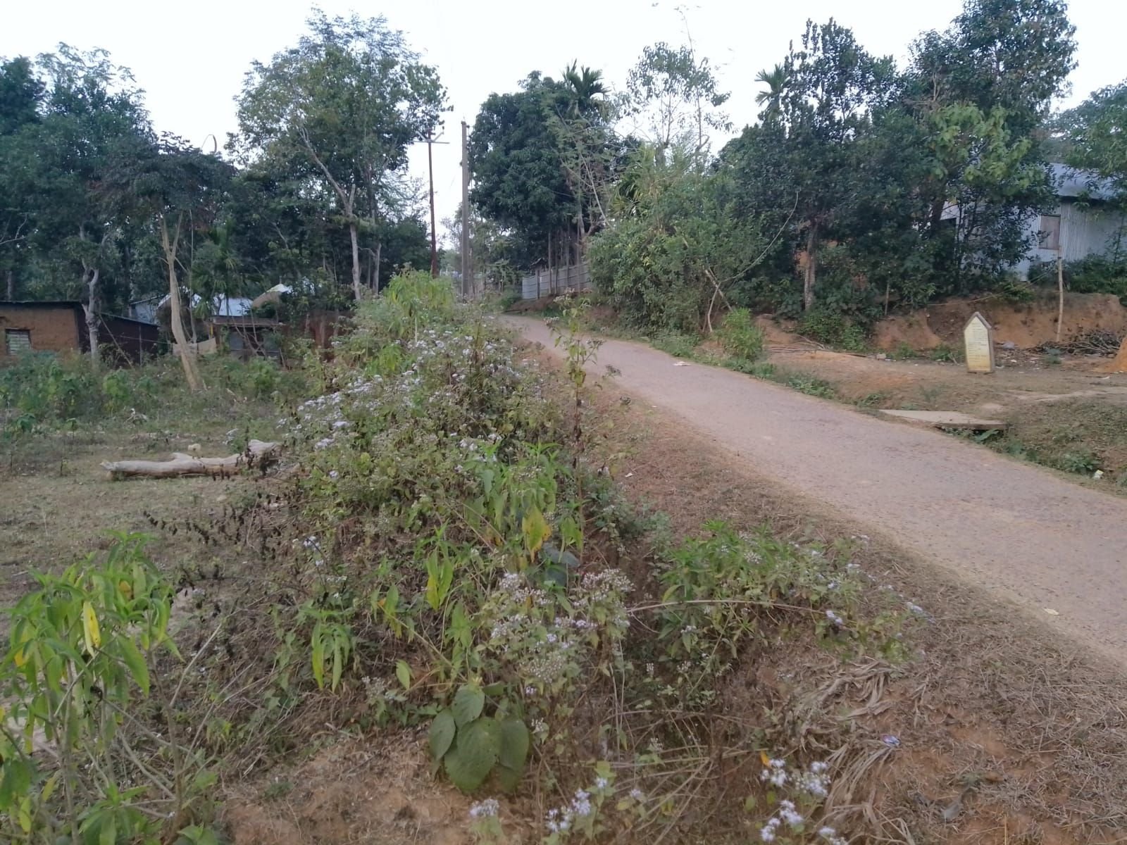 ad8a1af9-bf07-46c1-b01c-0a65625b389e