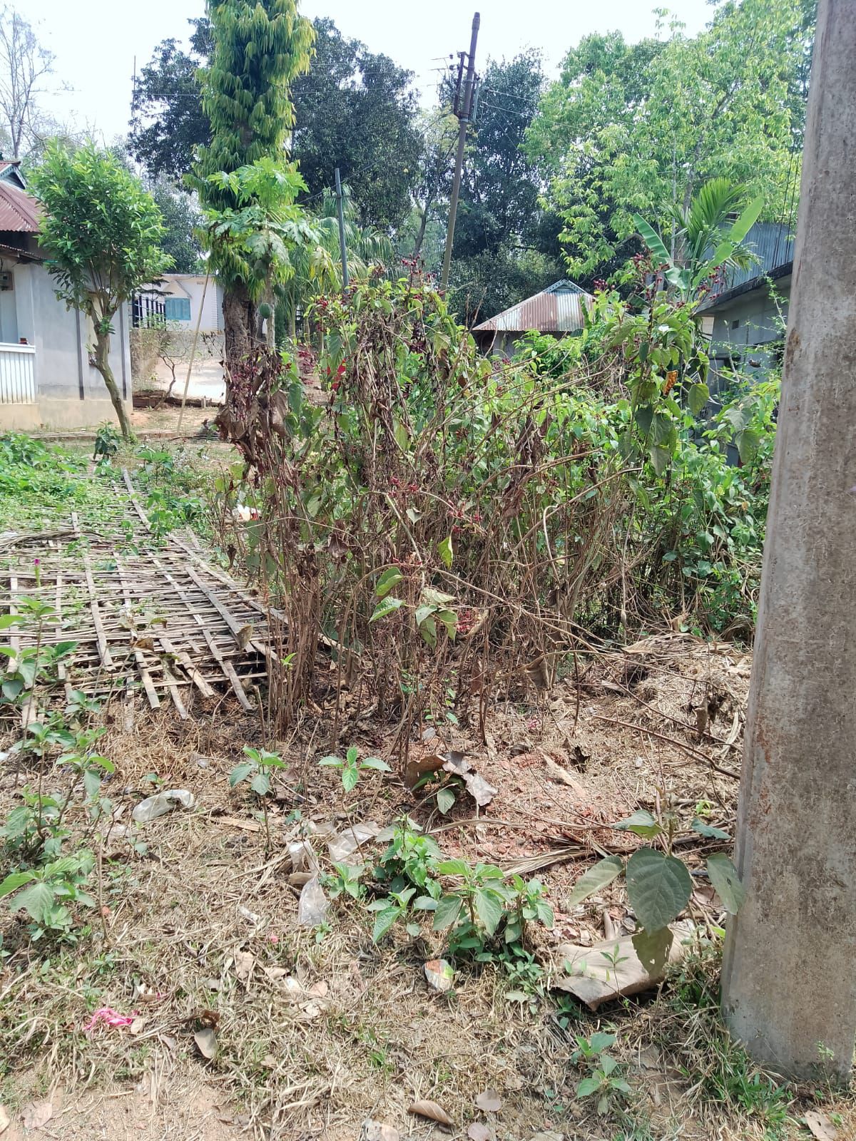 e97cda1a-e2fd-4ec8-b5aa-ef9ff9b94f69