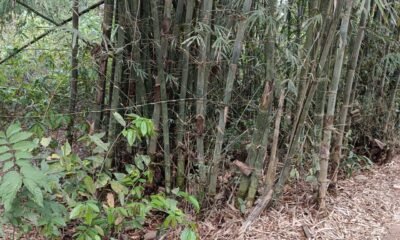 52130d5d-6189-4434-857d-e0b893fcd899