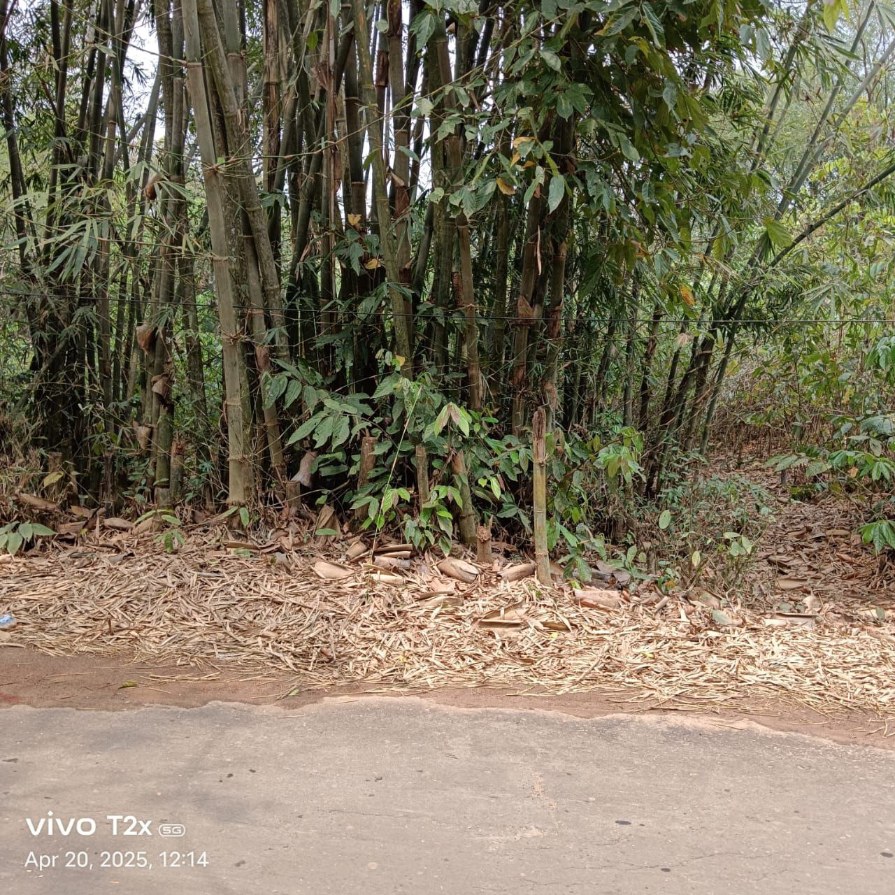 d5886432-70d9-4341-842b-05f3c9677618