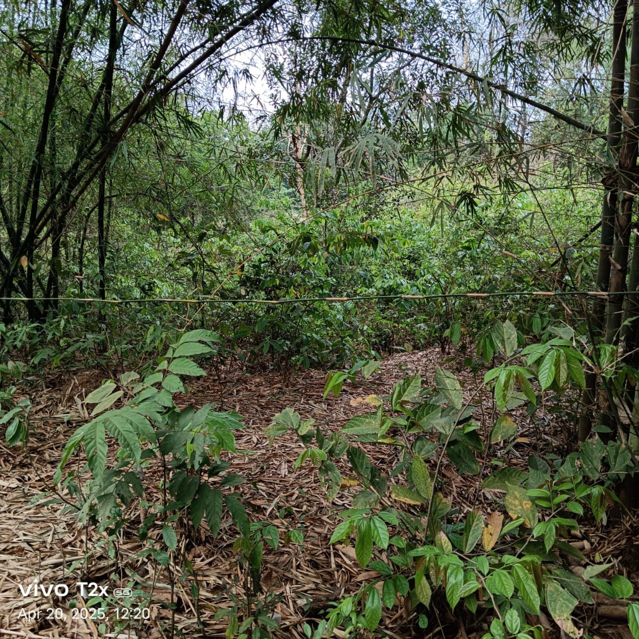 dc411f98-532d-4e2b-ad51-79728037dcf3