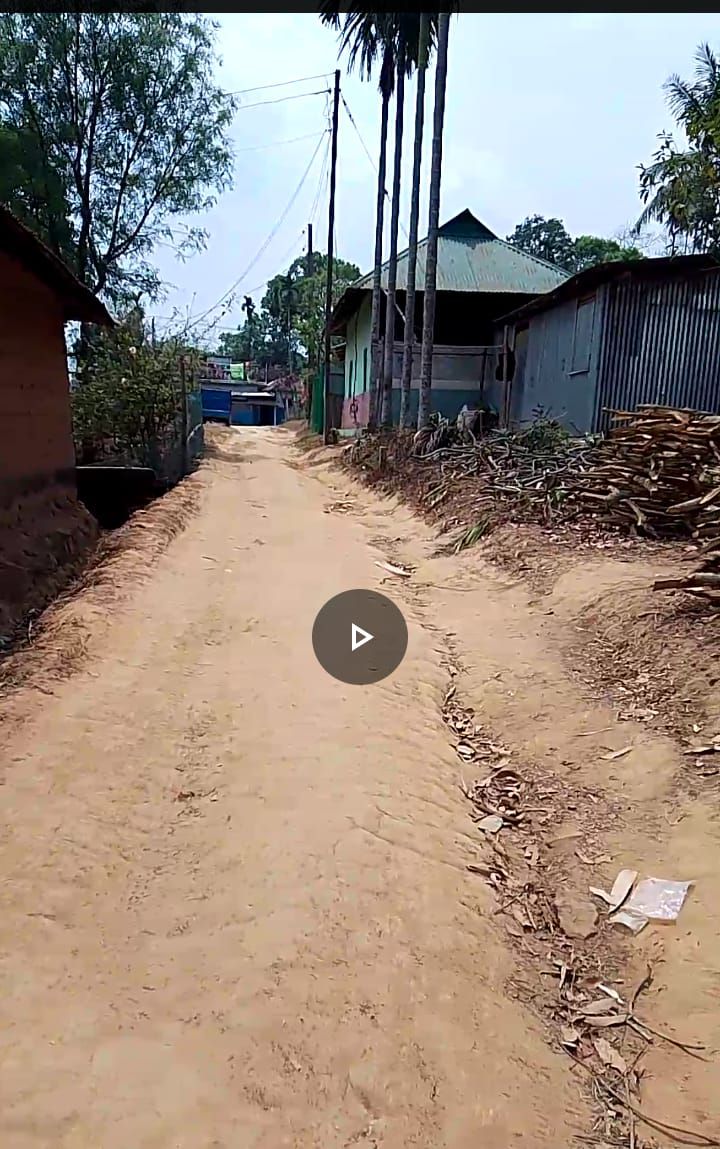 e5dce849-38a2-4d89-a995-c8ec95de71c8